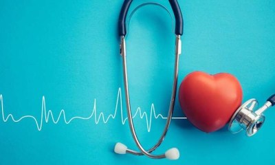 بذور الشيا أم بذور الكتان لصحة القلب؟