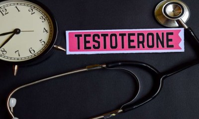 أفضل خيارات غذائية لرفع هرمون الذكورة