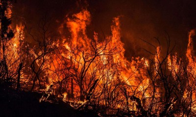 كيف يؤثر دخان الحرائق على صحة الإنسان من بعيد؟