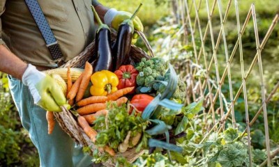 أكثر الفواكه والخضراوات تلوثا بالمبيدات