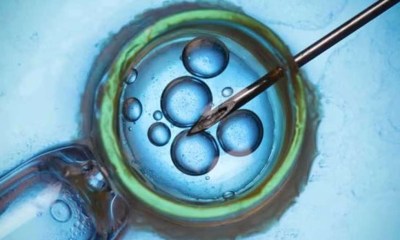 محاولات علمية لإنتاج البويضات من الجلد