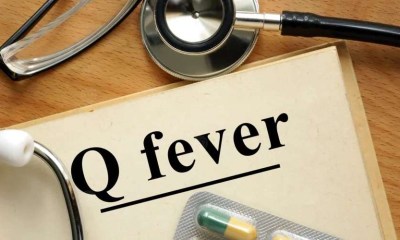 ما هي حمى كيو؟