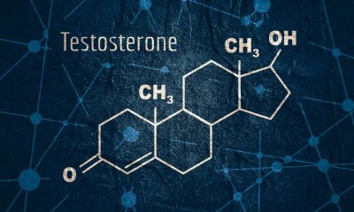 دور التستوستيرون في تحسين التواصل البصري