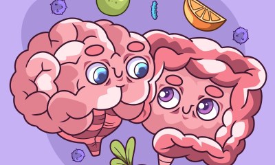 العلاقة بين إيقاعات الأمعاء والدماغ