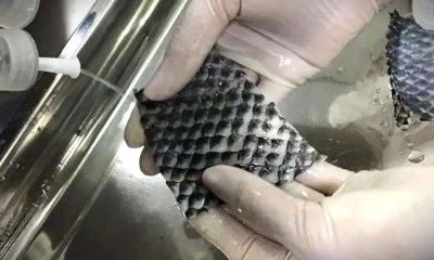 صورة من بي بي سي عن استخدامات جلد السمك الطبية