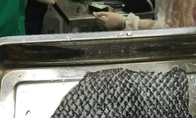 استخدامات جلد السمك