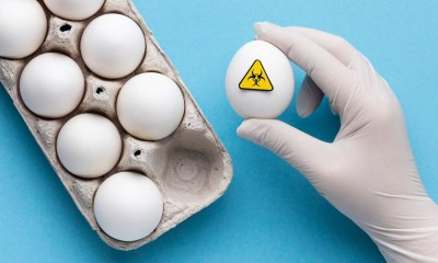 عدوي السالمونيلا