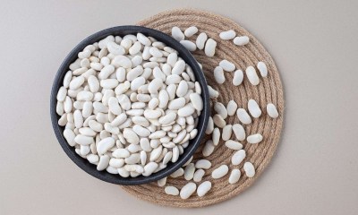 الفاصوليا البيضاء