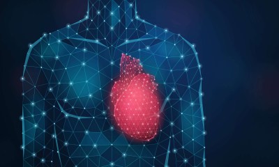 ابتكار رقعة خلايا جذعية لإصلاح تلف القلب