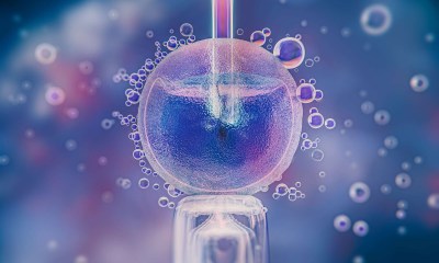 شروط نجاح التلقيح الصناعي 