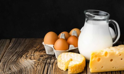 منتجات الألبان