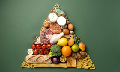 مكونات الهرم الغذائي القديم