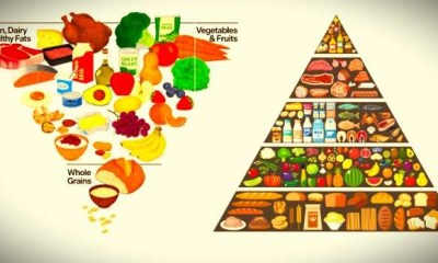 مقارنة بين الهرم الغذائي القديم والجديد
