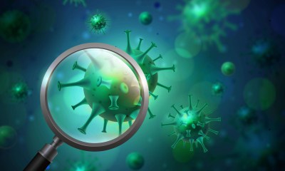 جرثومة المعدة