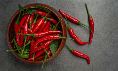 الفلفل الحار