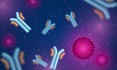 ميكروبات الأمعاء