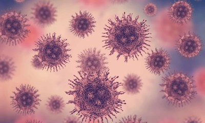 فيروس الهربس البسيط