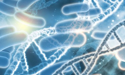 بكتيريا الأمعاء و مقاومة الإنسولين