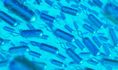 عدوي الإشريكية القولونية