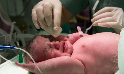 فوائد الطلاء الدهني للجنين