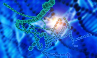 ميكروب في أمعاء الإنسان