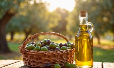 زيت الزيتون لجفاف البشرة