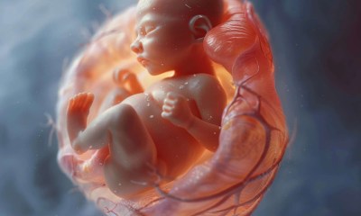 الساعة البيولوجية للجنين