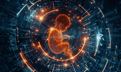 تنظيم الإيقاعات البيولوجية للجنين