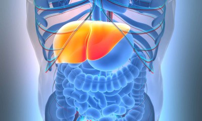 أمراض الكبد