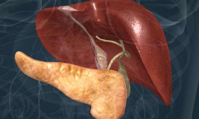 أمراض الكبد