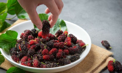 أسباب تناول التوت يوميا