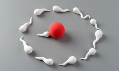 تأثير التواء الخصية على الخصوبة