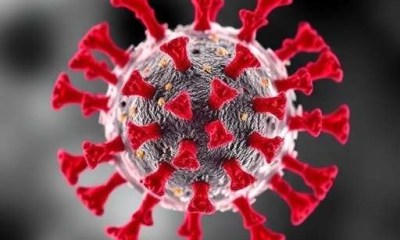 فيروس شاموندا يصيب الحيوانات