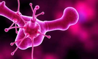 إنتاج هرمون الإستروجين