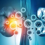 مؤشر أعراض الكلى KDSS يكتشف التغيرات عند مرضى الفشل الكلوي