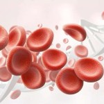 نظام غذائي لمرضى فقر الدم