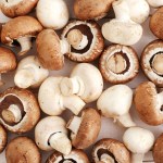 كيف يحمي المشروم من أورام البروستاتا؟