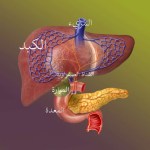 Lynavoy لعلاج الحكة الناتجة عن التهاب القنوات الصفراوية