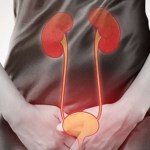 لقاح للقضاء على التهابات المسالك البولية