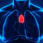 الغدة الزعترية: مفتاح طول العمر ومقاومة الأورام