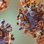 باحثون: تهديد محتمل للصحة العالمية من فيروسين حيوانيين ناشئين