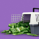 حيوانك الأليف قد يمنحك سعادة تعادل الزواج أو راتبا ضخما