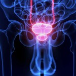 استخدام عقار Gozellix الجديد لتصوير سرطان البروستاتا