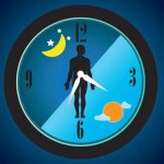 كيف تؤثر الساعة البيولوجية للجسم على صحة القلب