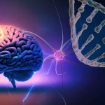 اختيار الفحوصات الجينية