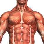 هوس الرجال بالجسم المثالي: 437% ارتفاعا في عمليات زراعة العضلات