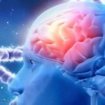 ارتفاع دهون الدم وسكرها يسرع تدهور الزهايمر 4 أضعاف
