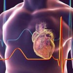 مفاجأة علمية غير متوقعة: قلبك قد يكون أكبر من عمرك الحقيقي