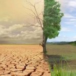 تدهور الغطاء الشجري يضعف نتائج الطلاب في الاختبارات