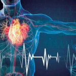 أمراض القلب وراثية أم بسبب النمط الخاطيء